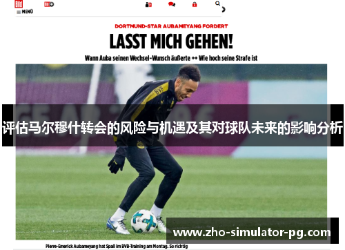 评估马尔穆什转会的风险与机遇及其对球队未来的影响分析 评估马尔穆什转会的风险与机遇及其对球队未来的影响分析