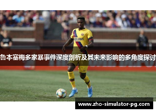 鲁本塞梅多家暴事件深度剖析及其未来影响的多角度探讨